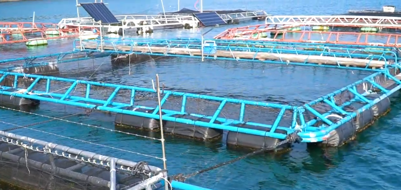 浅川釣りいかだの風景